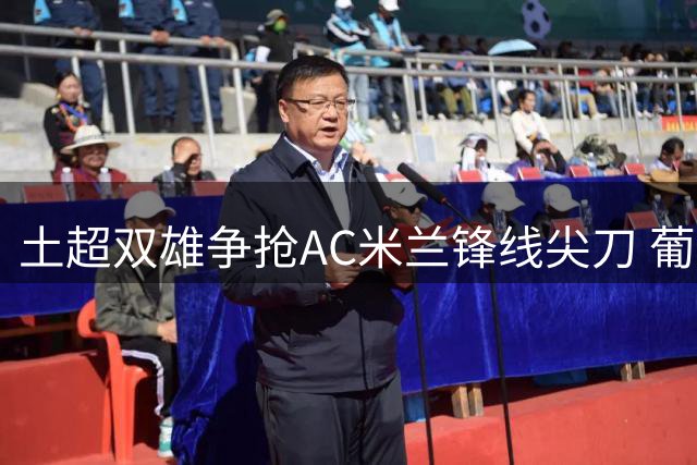 土超双雄争抢AC米兰锋线尖刀 葡萄牙国脚身价坚挺5000万+