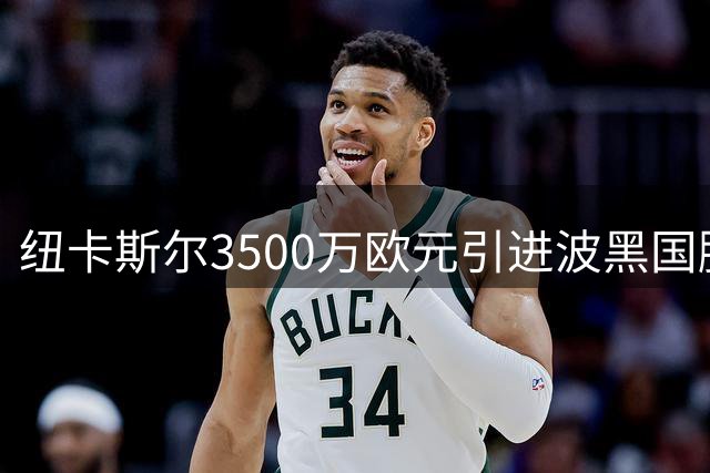纽卡斯尔3500万欧元引进波黑国脚德迪奇