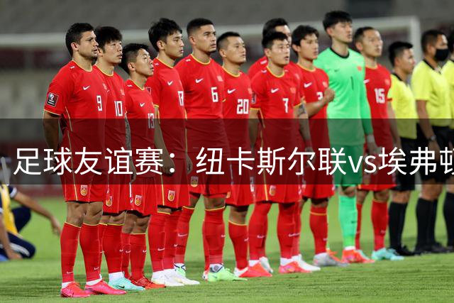 足球友谊赛：纽卡斯尔联vs埃弗顿